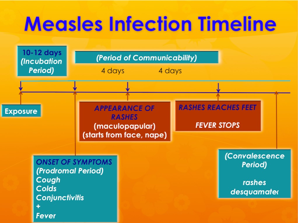 German Measles (Rubella) Condition, Treatments, and ...